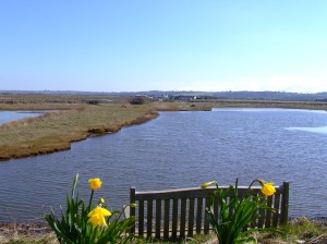 One of the benches looking out over the Cob Pools, across the marshes to the mountains beyond